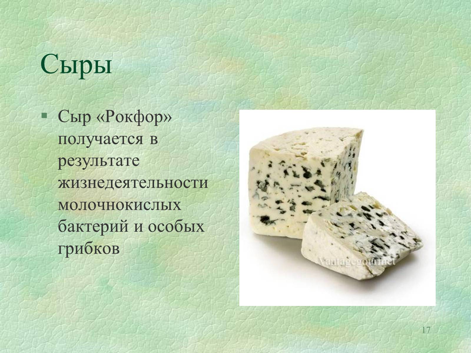 Презентація на тему «Значение бактерий в природе и жизни человека» - Слайд #17