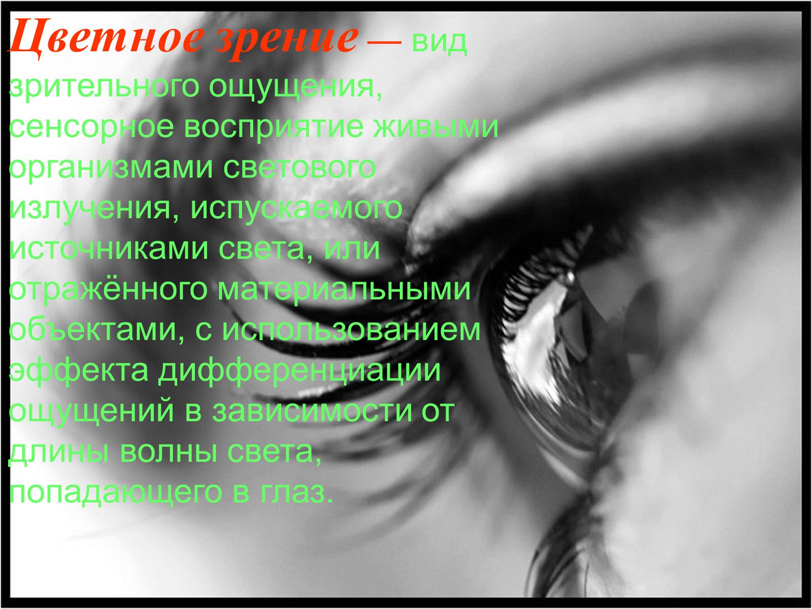 Презентація на тему «Теория цветного зрения» - Слайд #2