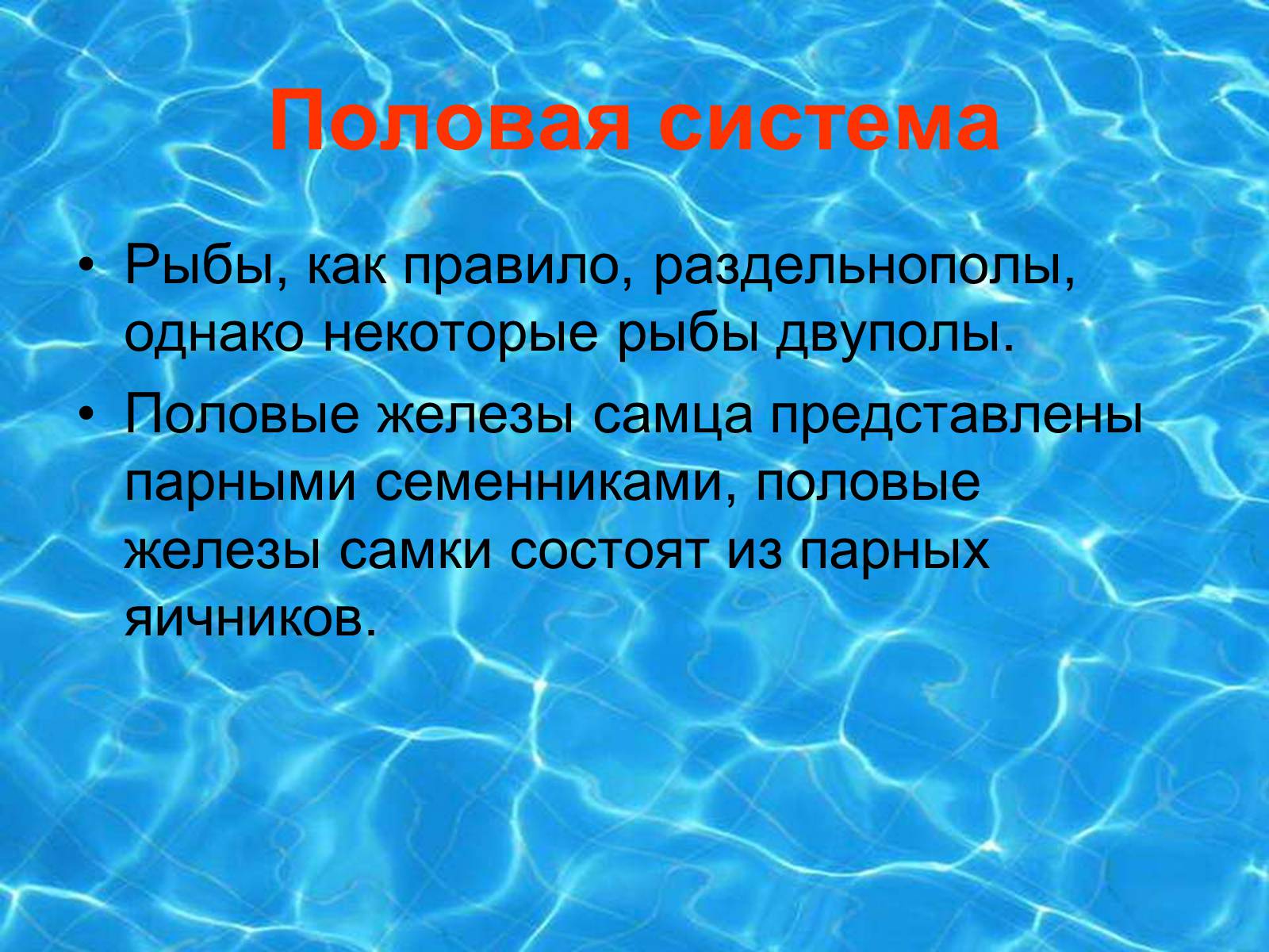 Половая система рыб. Половая система рыб представлена. Половая система рыб кратко. Половые железы самцов рыб.