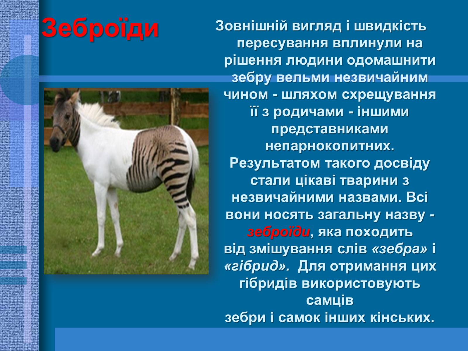 Презентація на тему «Особливості селекції рослин, тварин та мікроорганізмів» (варіант 1) - Слайд #9