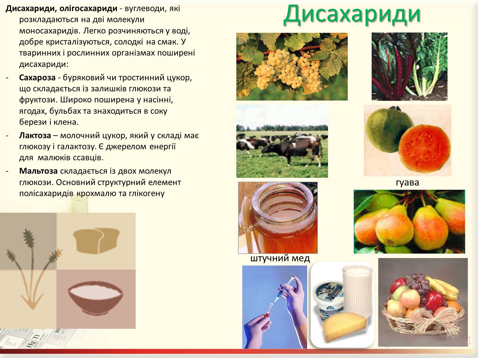 Презентація на тему «Вуглеводи як компоненти їжі, їх роль у житті людини» (варіант 27) - Слайд #14