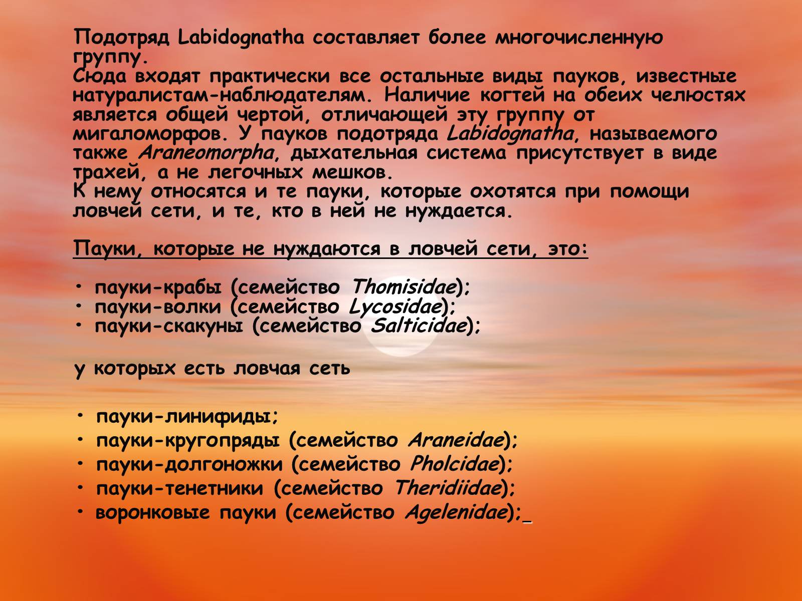 Презентація на тему «Пауки. Их строение» - Слайд #13