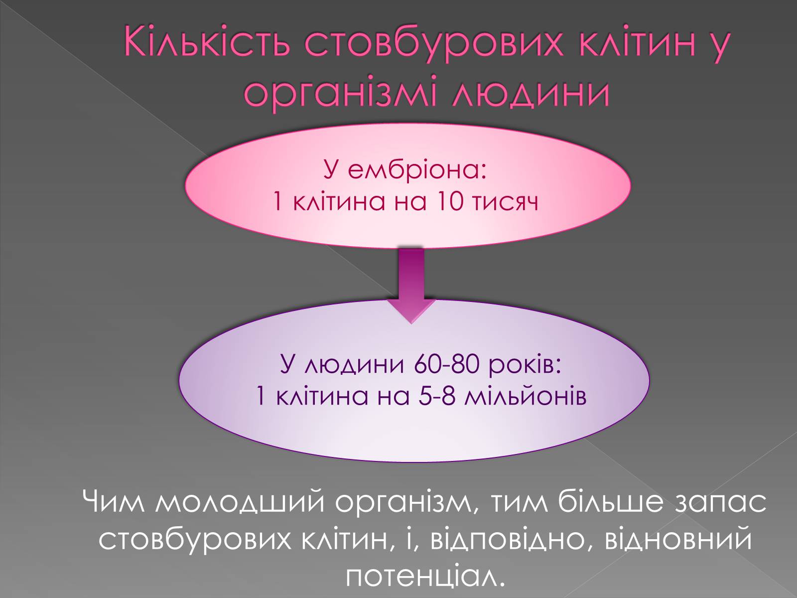 Презентація на тему «Стовбурові клітини» (варіант 4) - Слайд #4