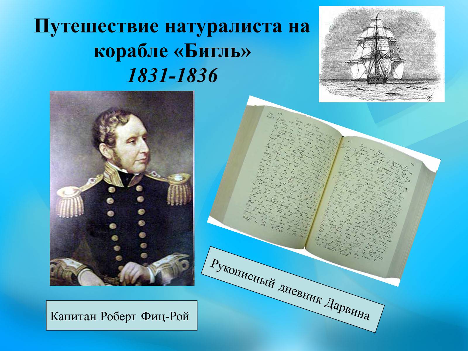 Презентація на тему «Чарльз Дарвин» - Слайд #11