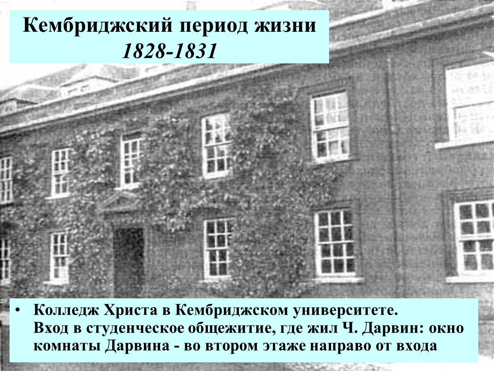 Презентація на тему «Чарльз Дарвин» - Слайд #9