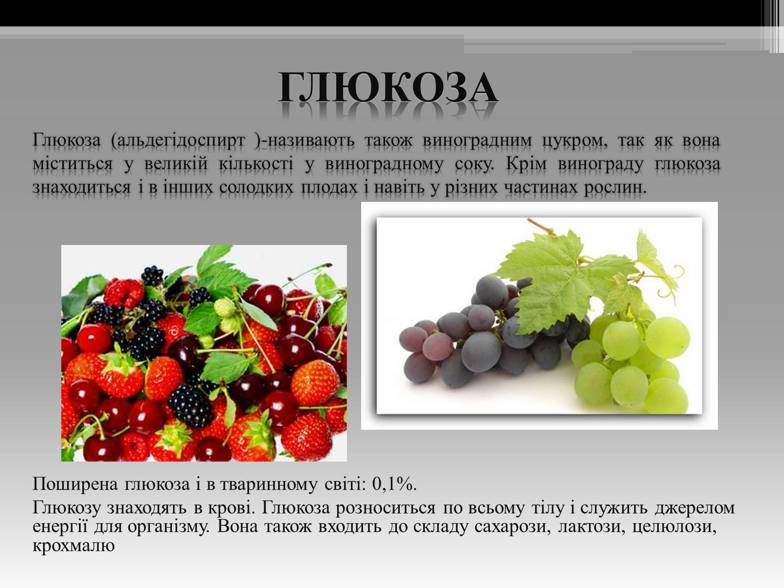 Презентація на тему «Вуглеводи як компоненти їжі, їх роль у житті людини» (варіант 20) - Слайд #4