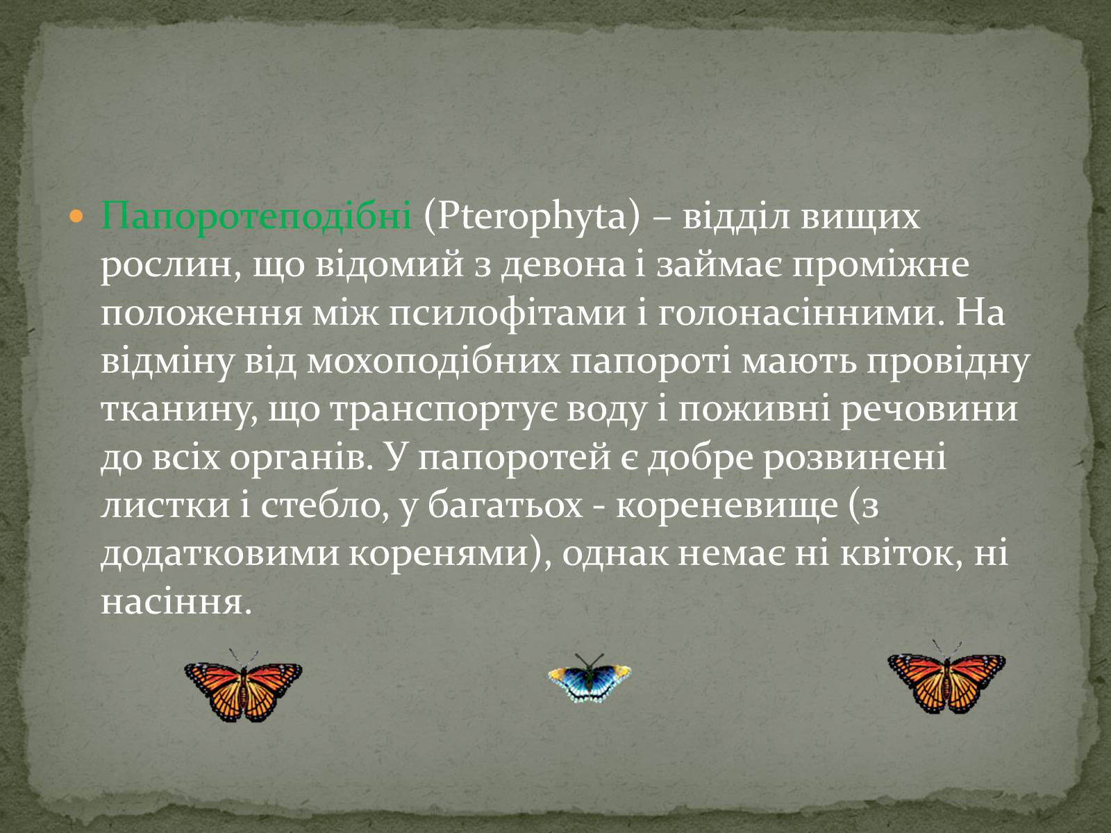 Презентація на тему «Папоротеподібні» (варіант 2) - Слайд #2