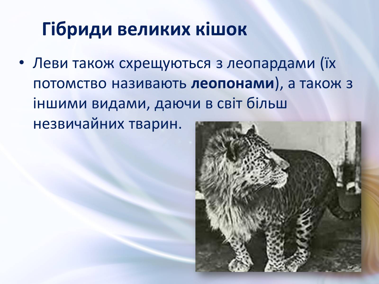 Презентація на тему «Віддалена гібридизація тварин» - Слайд #26