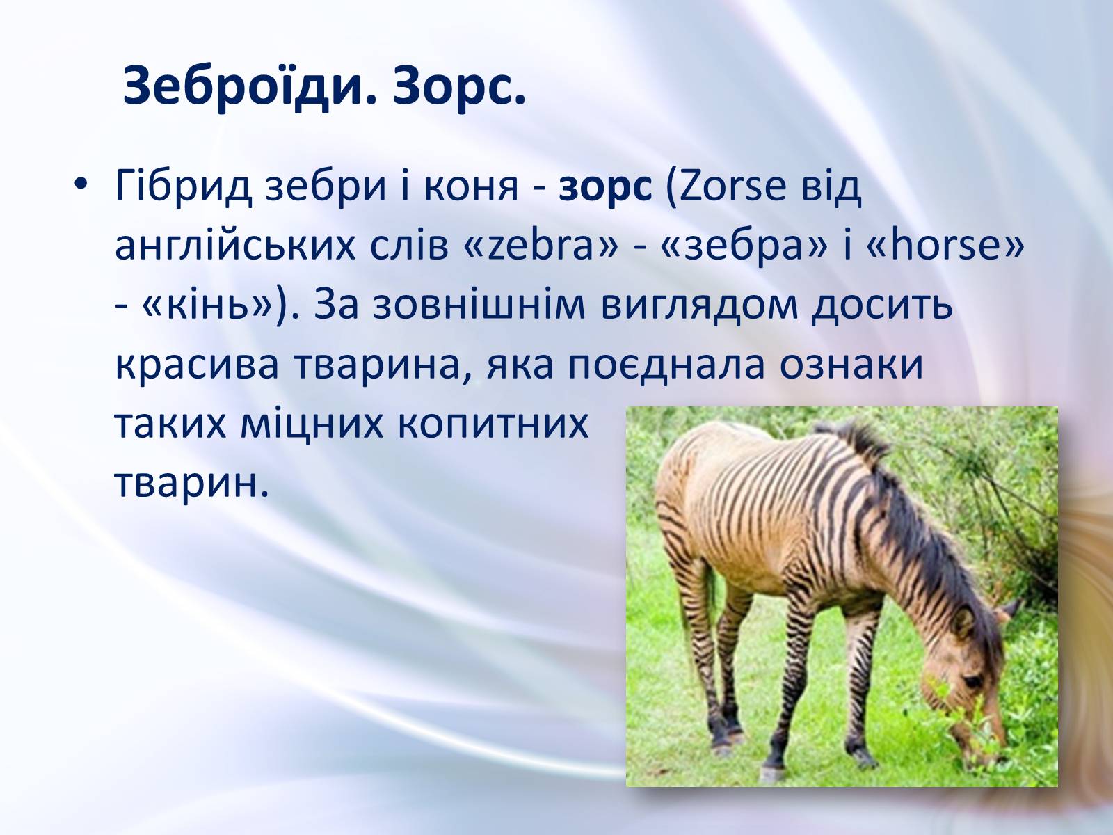 Презентація на тему «Віддалена гібридизація тварин» - Слайд #5