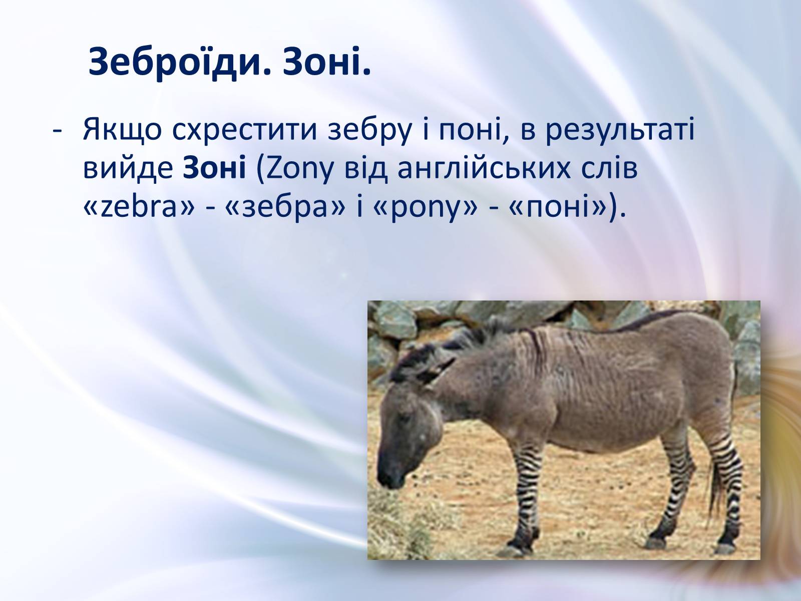 Презентація на тему «Віддалена гібридизація тварин» - Слайд #7