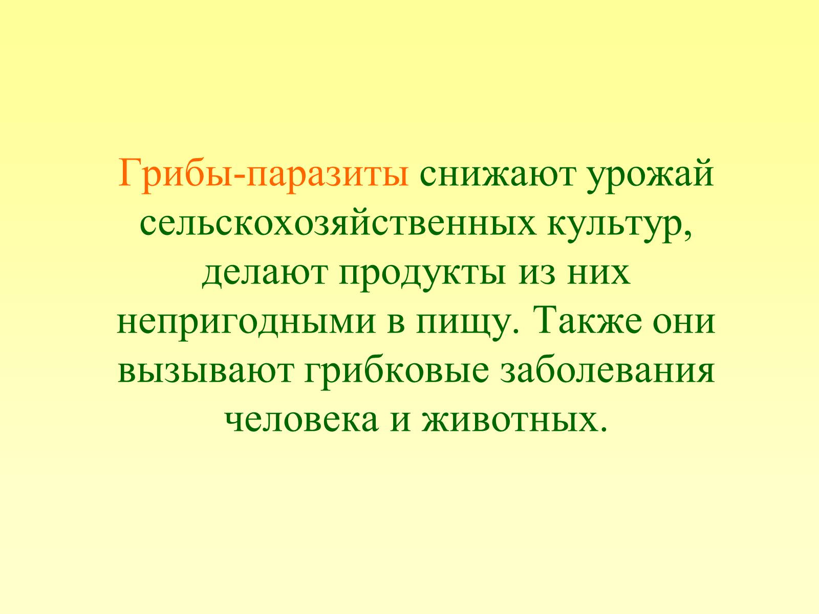 Презентація на тему «РОЛЬ ГРИБОВ В ПРИРОДЕ И ЖИЗНИ ЧЕЛОВЕКА» - Слайд #12