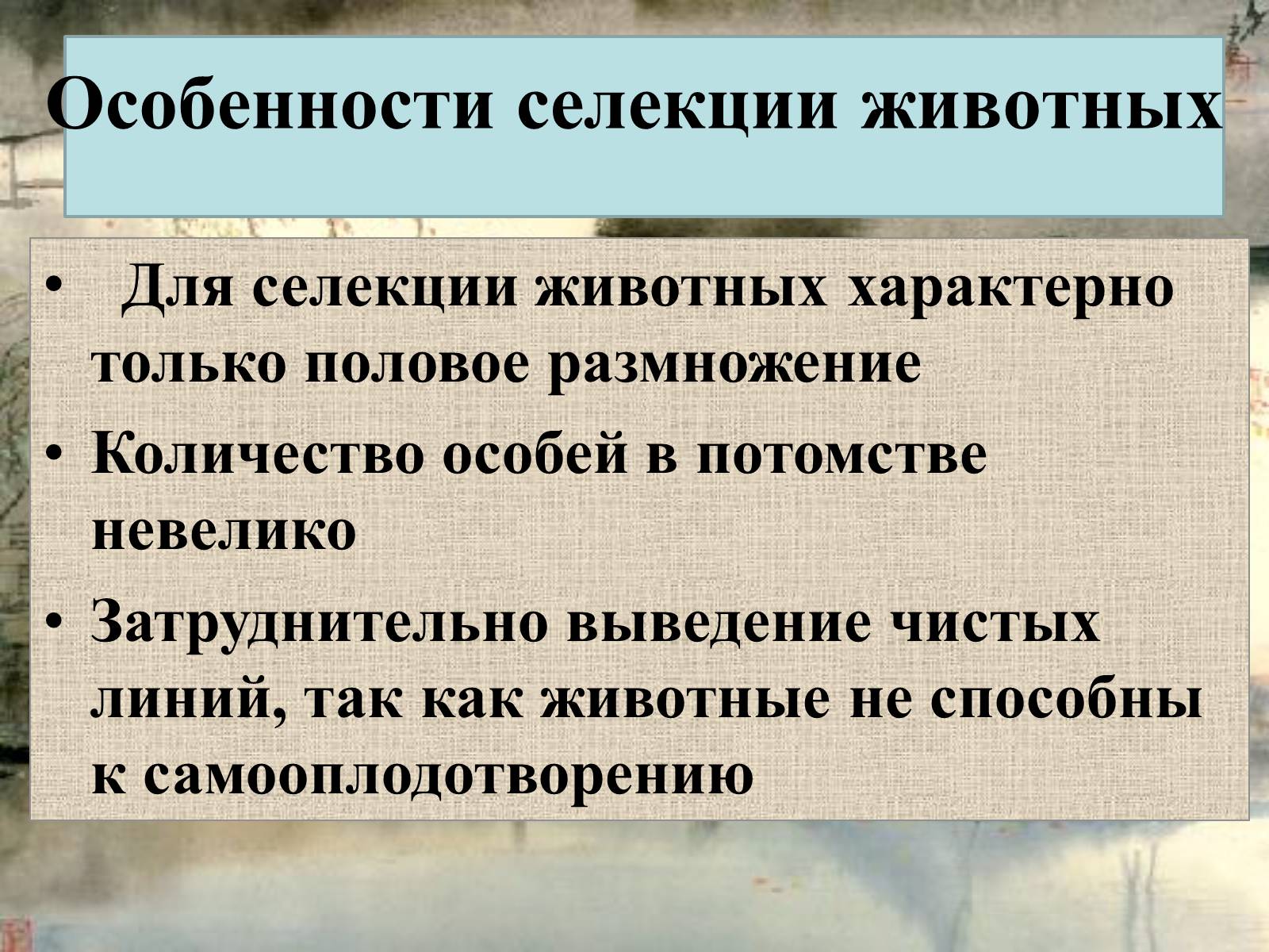 Презентація на тему «Селекция животных» (варіант 2) - Слайд #4