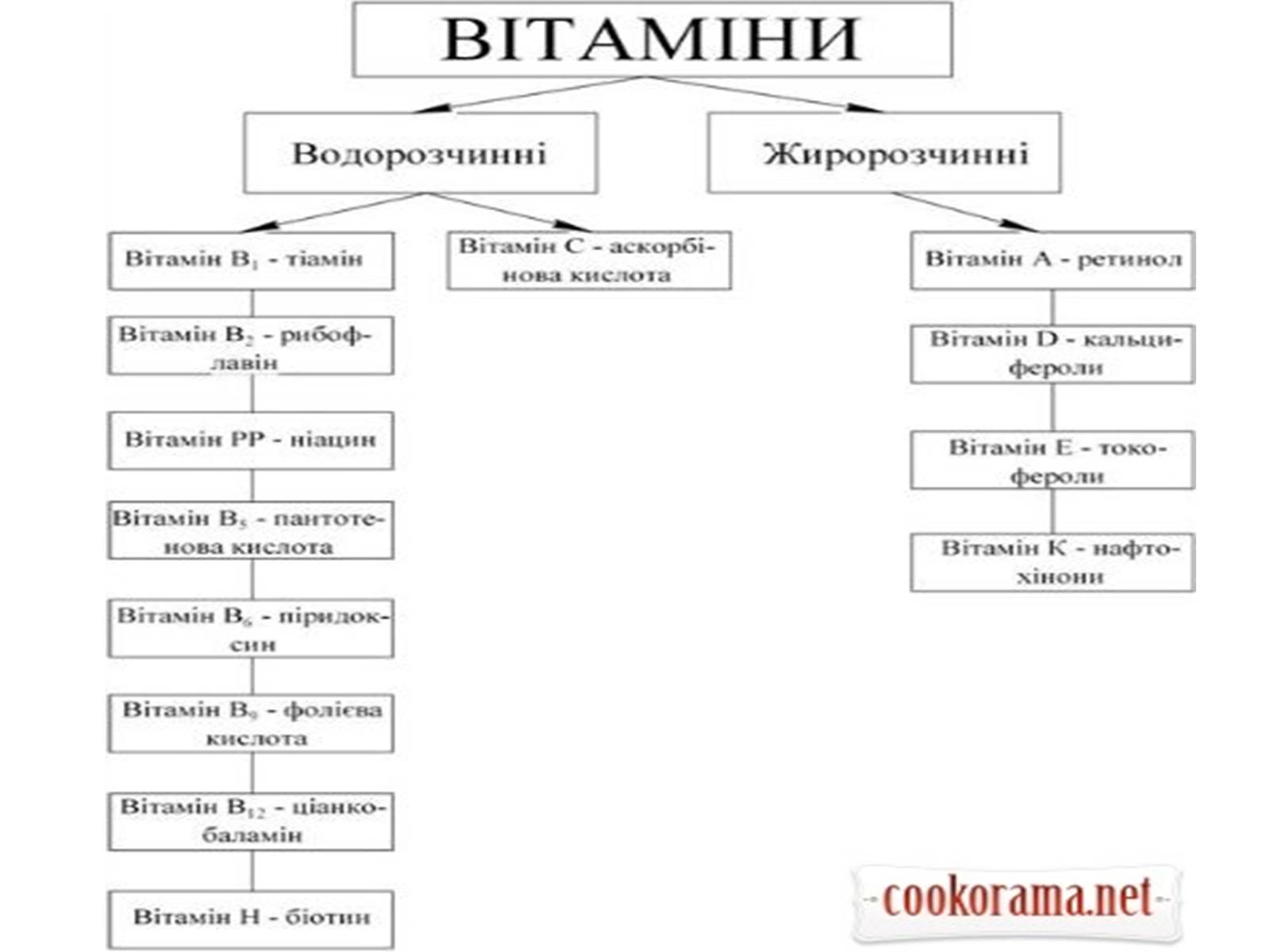 Презентація на тему «Вітаміни» (варіант 7) - Слайд #3