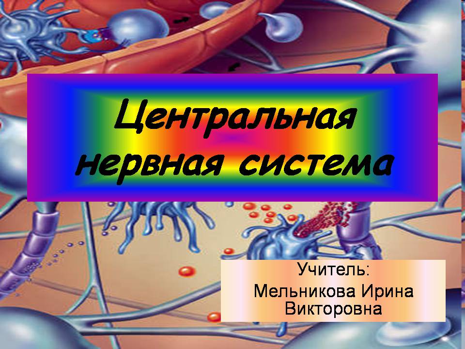 Презентація на тему «Центральная нервная система» - Слайд #1