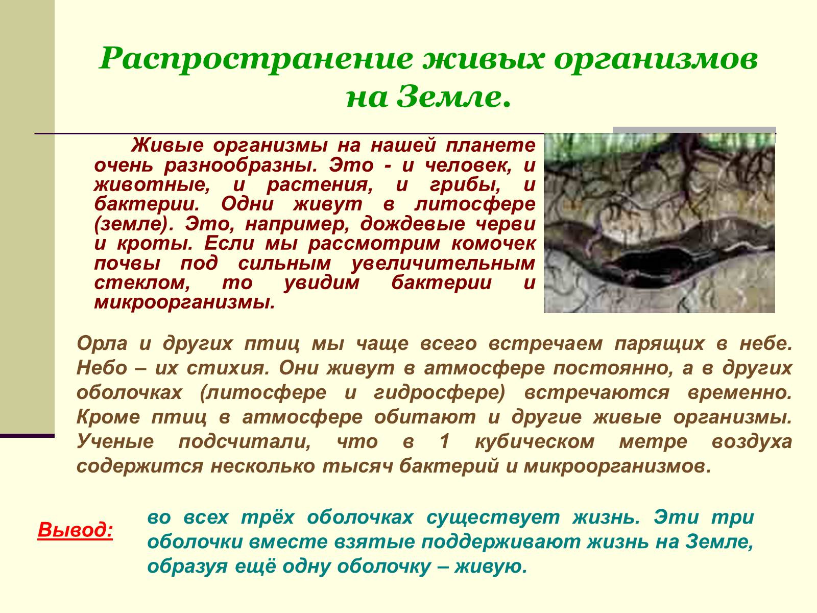 Презентація на тему «Где встречается жизнь на Земле?» - Слайд #14