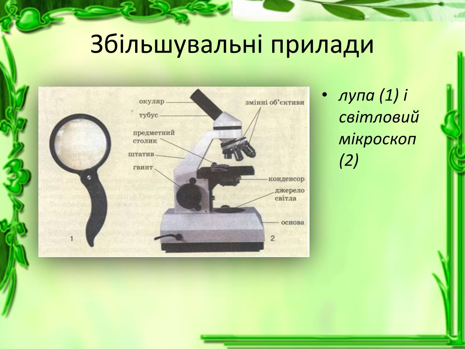 Презентація на тему «Історія відкриття клітини» - Слайд #9