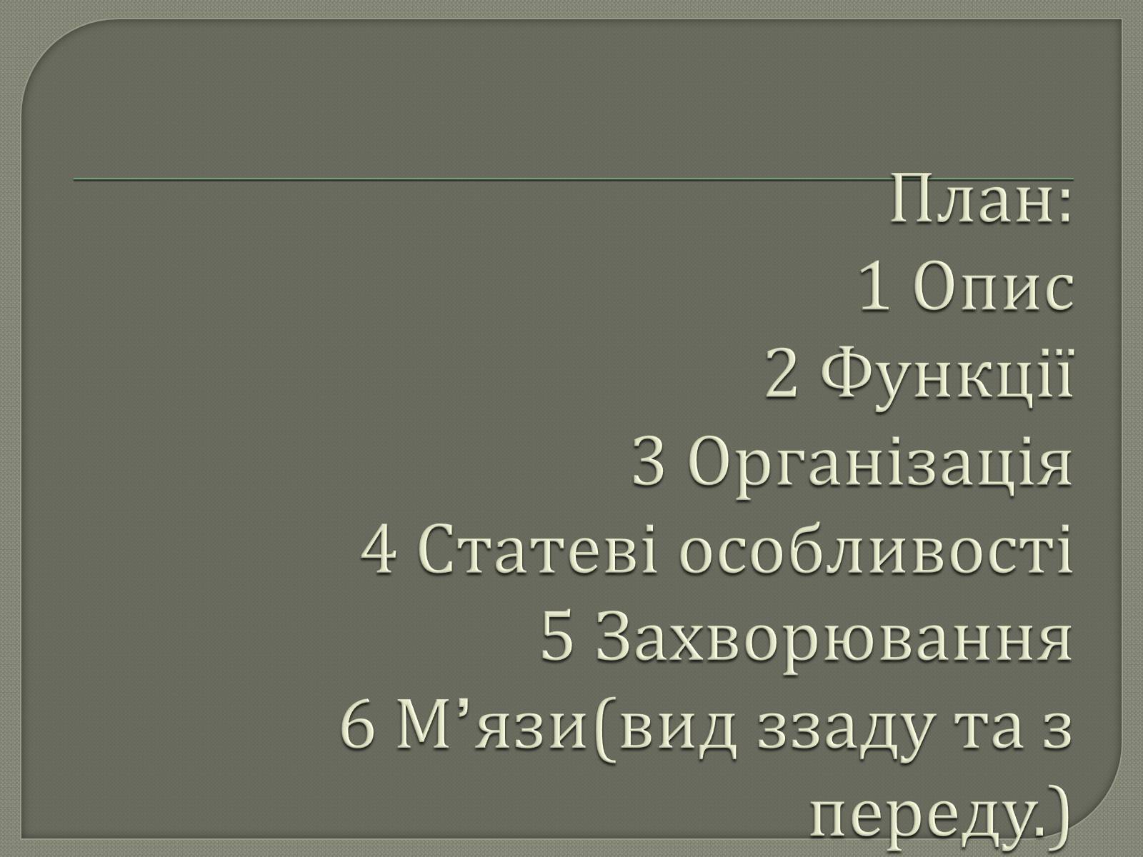 Презентація на тему «Будова Скелету» - Слайд #2