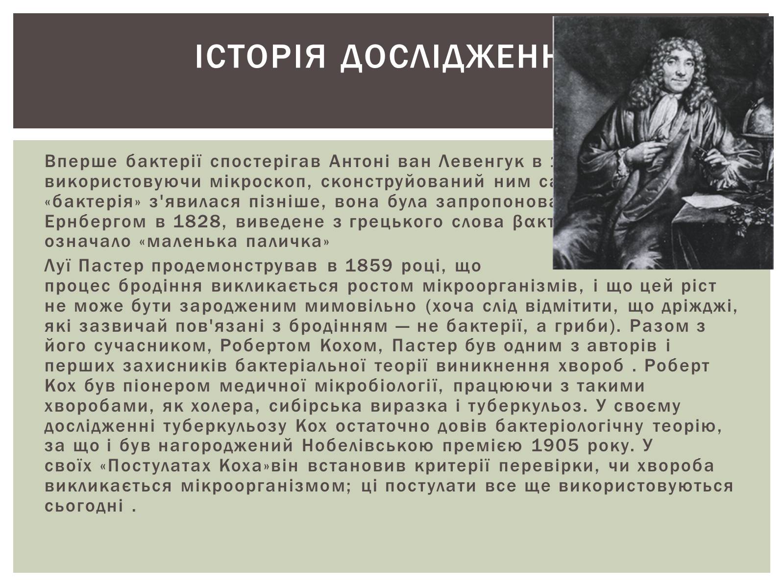 Презентація на тему «Виникнення бактерій» - Слайд #3