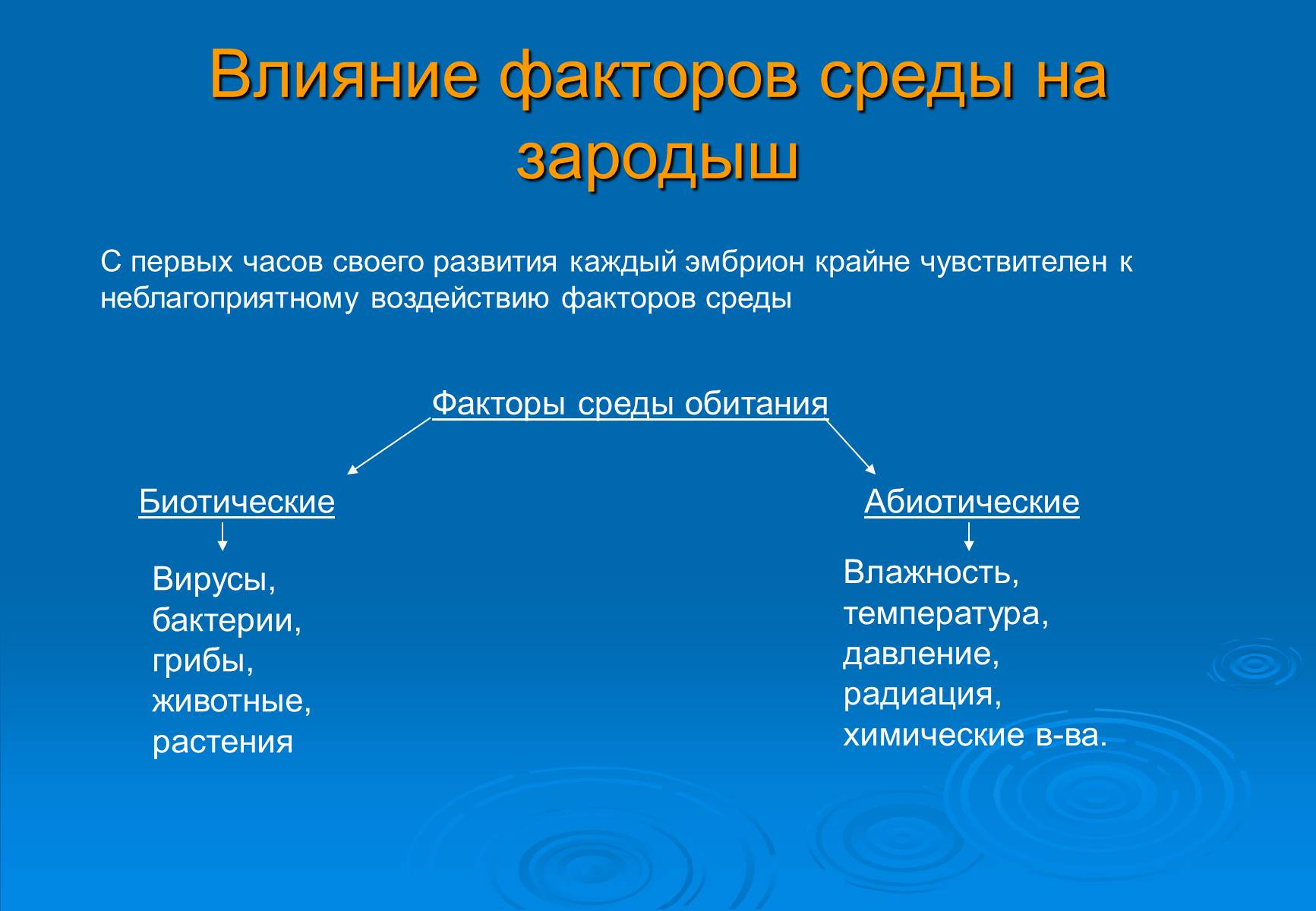 Презентація на тему «Онтогенез» (варіант 5) - Слайд #7