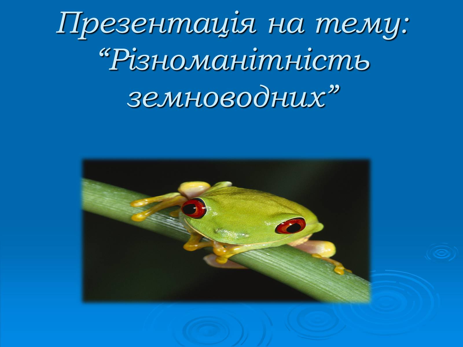 Презентація на тему «Різноманітність земноводних» (варіант 2) - Слайд #1