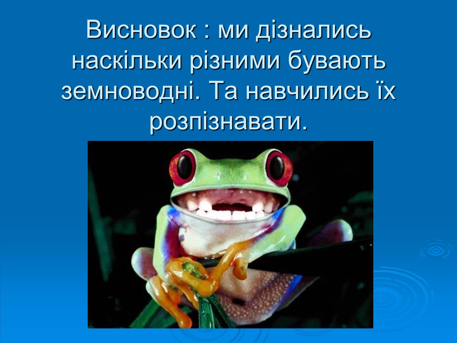 Презентація на тему «Різноманітність земноводних» (варіант 2) - Слайд #11