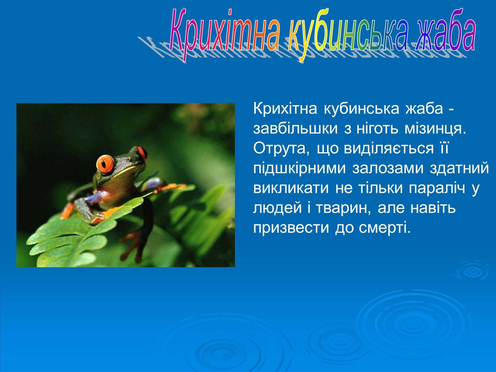 Презентація на тему «Різноманітність земноводних» (варіант 2) - Слайд #9