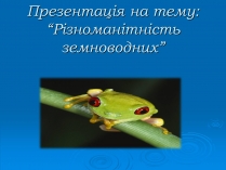 Презентація на тему «Різноманітність земноводних» (варіант 2)