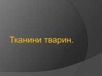 Презентація на тему «Тканини тварин» (варіант 2)