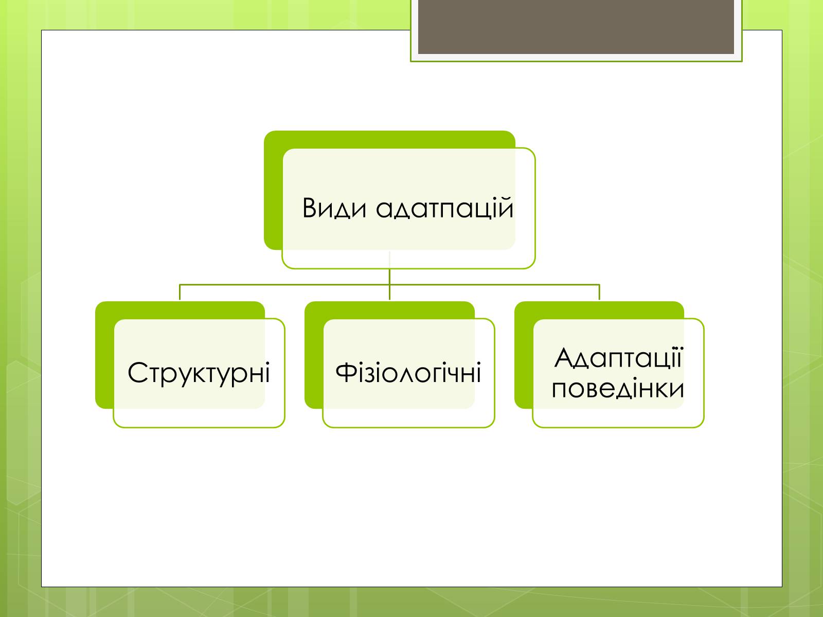 Презентація на тему «Адаптація людини до навколишнього середовища» - Слайд #5