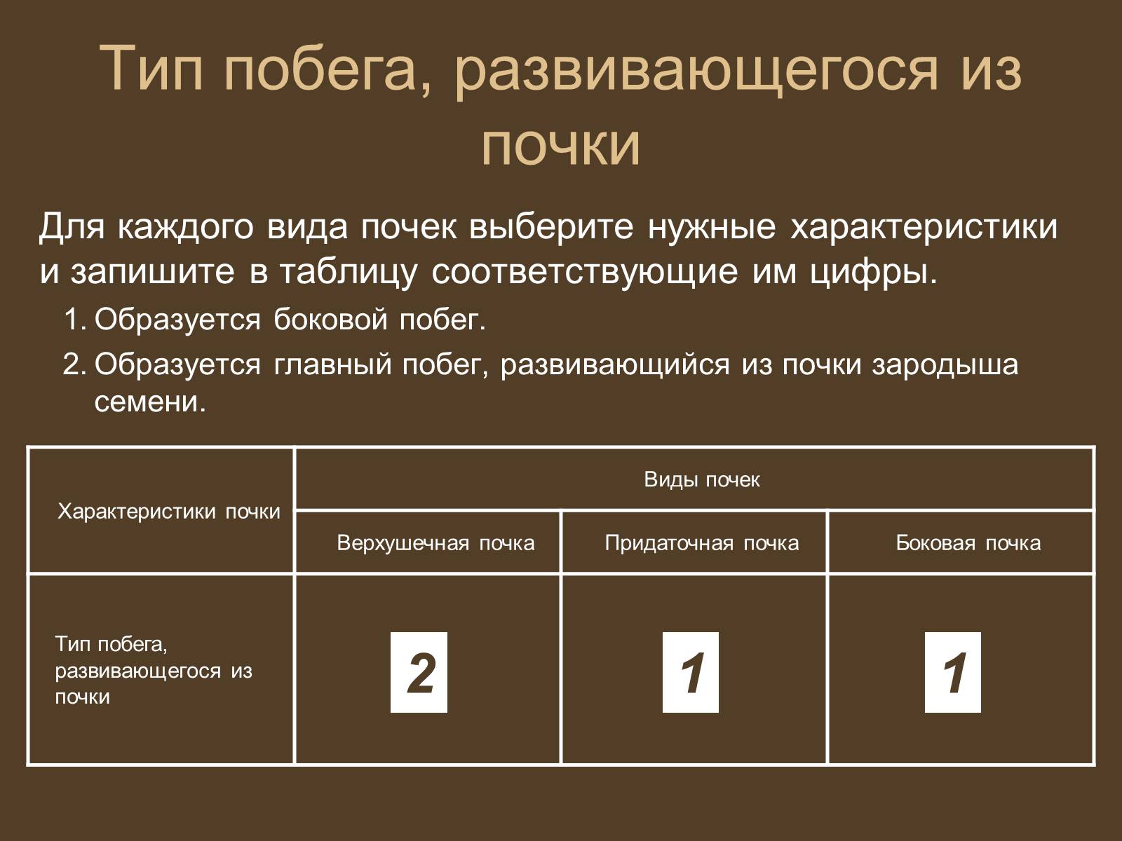 Презентація на тему «Строение и развитие почек на побегах» - Слайд #15