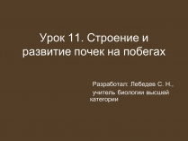 Презентація на тему «Строение и развитие почек на побегах»