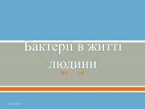 Презентація на тему «Бактерії» (варіант 1)