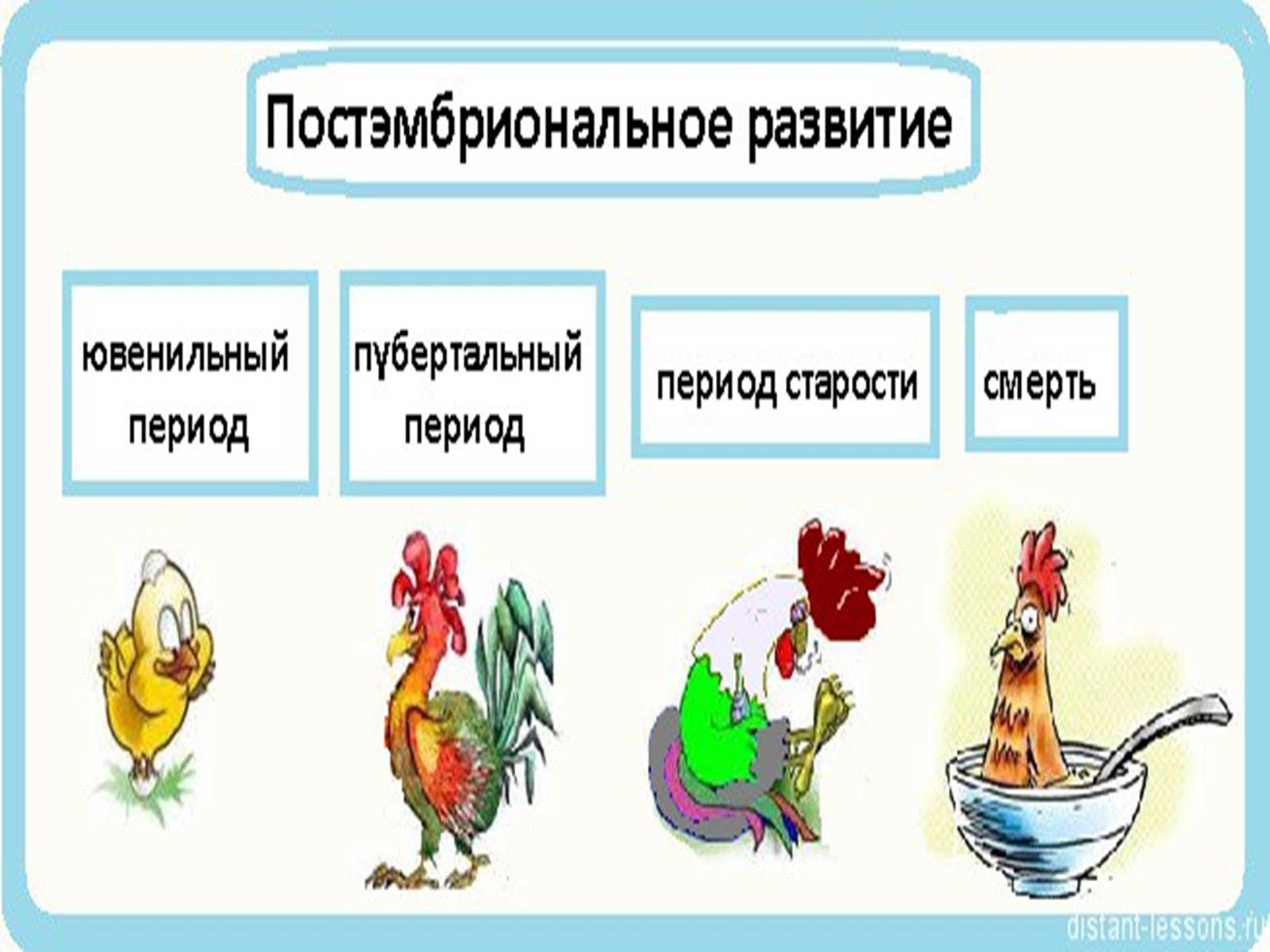 Постэмбриональный период человека таблица. Постэмбриональный этап. Этапы постэмбрионального периода. Постэмбриональный период схема. Типы постэмбрионального развития схема.