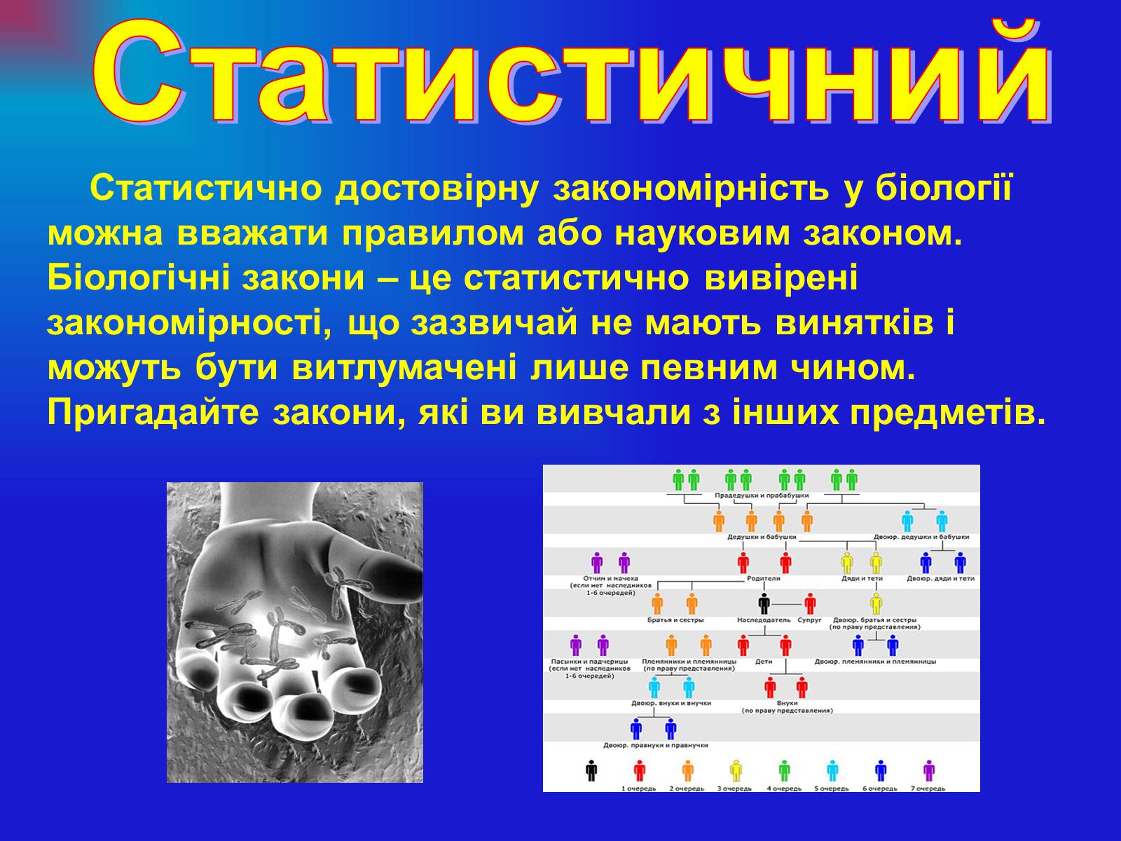 Презентація на тему «Основи загальної біології» - Слайд #17