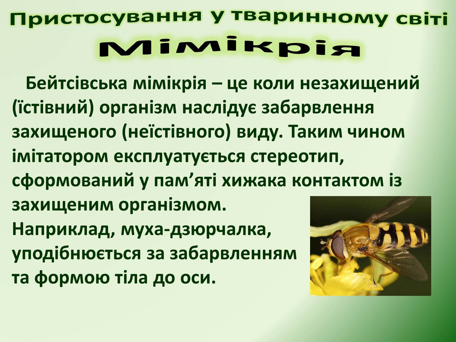 Презентація на тему «Пристосування у тваринному світі та їх відносний характер» - Слайд #26