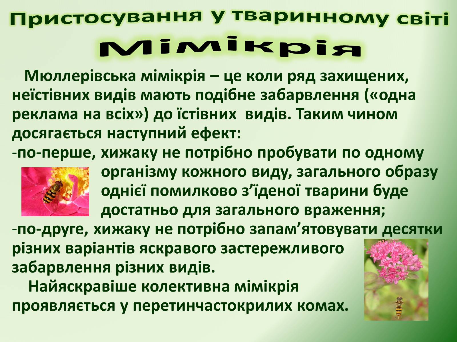 Презентація на тему «Пристосування у тваринному світі та їх відносний характер» - Слайд #27