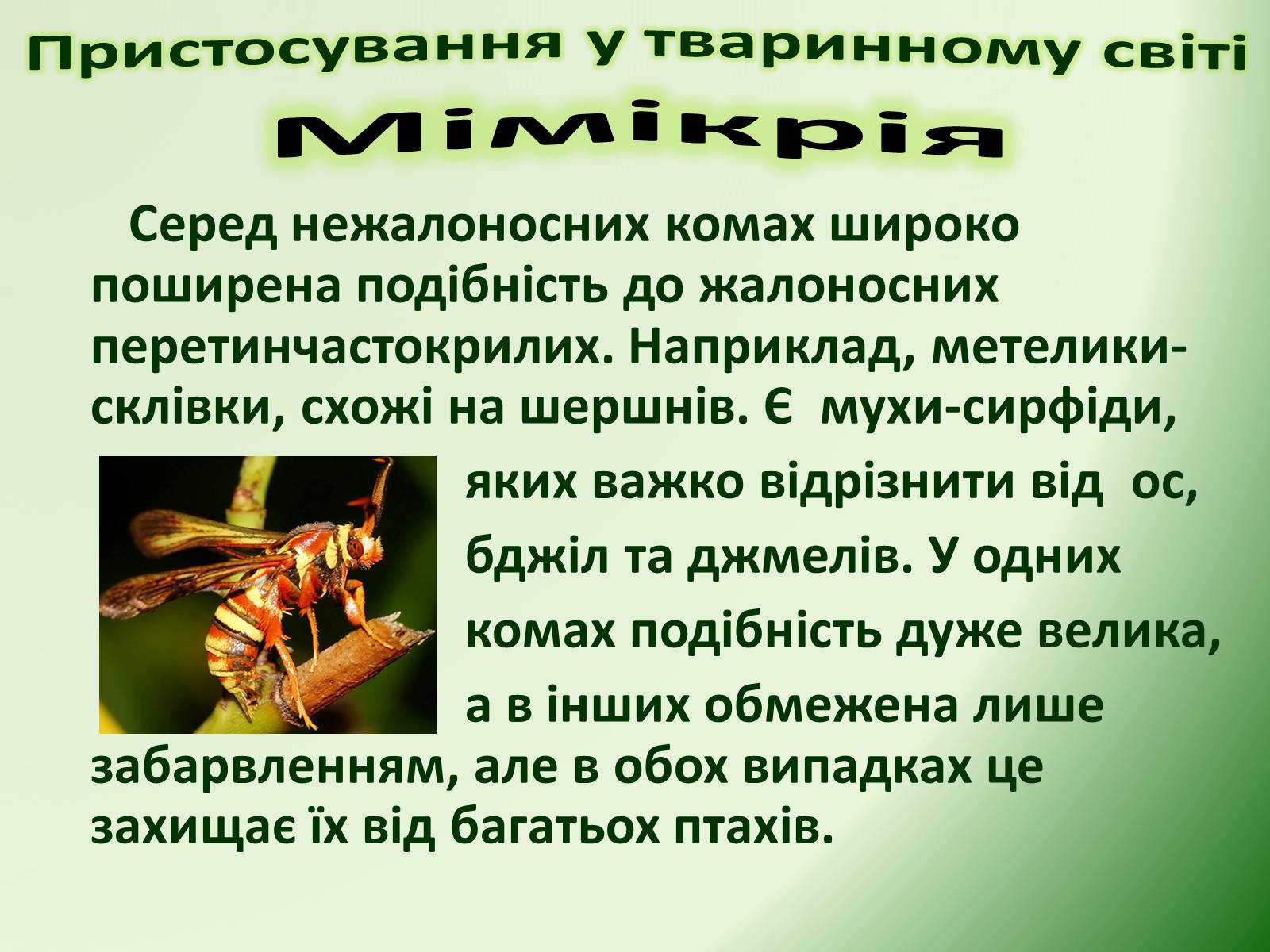 Презентація на тему «Пристосування у тваринному світі та їх відносний характер» - Слайд #28