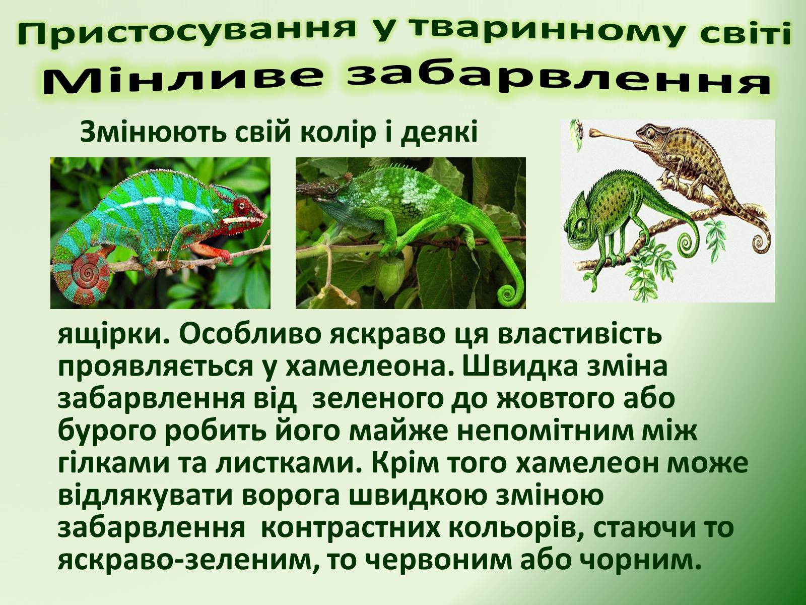 Презентація на тему «Пристосування у тваринному світі та їх відносний характер» - Слайд #41