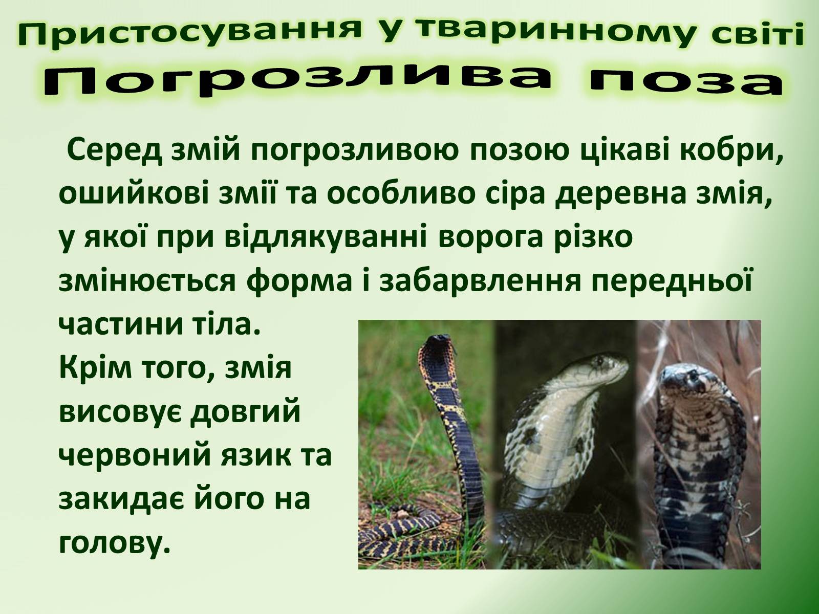 Презентація на тему «Пристосування у тваринному світі та їх відносний характер» - Слайд #46