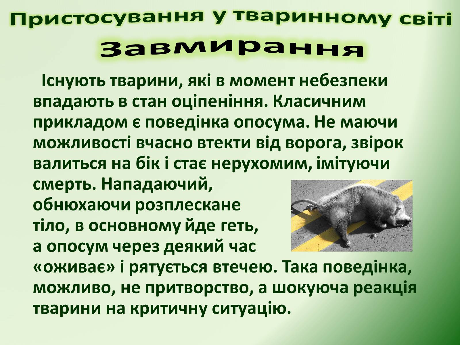 Презентація на тему «Пристосування у тваринному світі та їх відносний характер» - Слайд #50