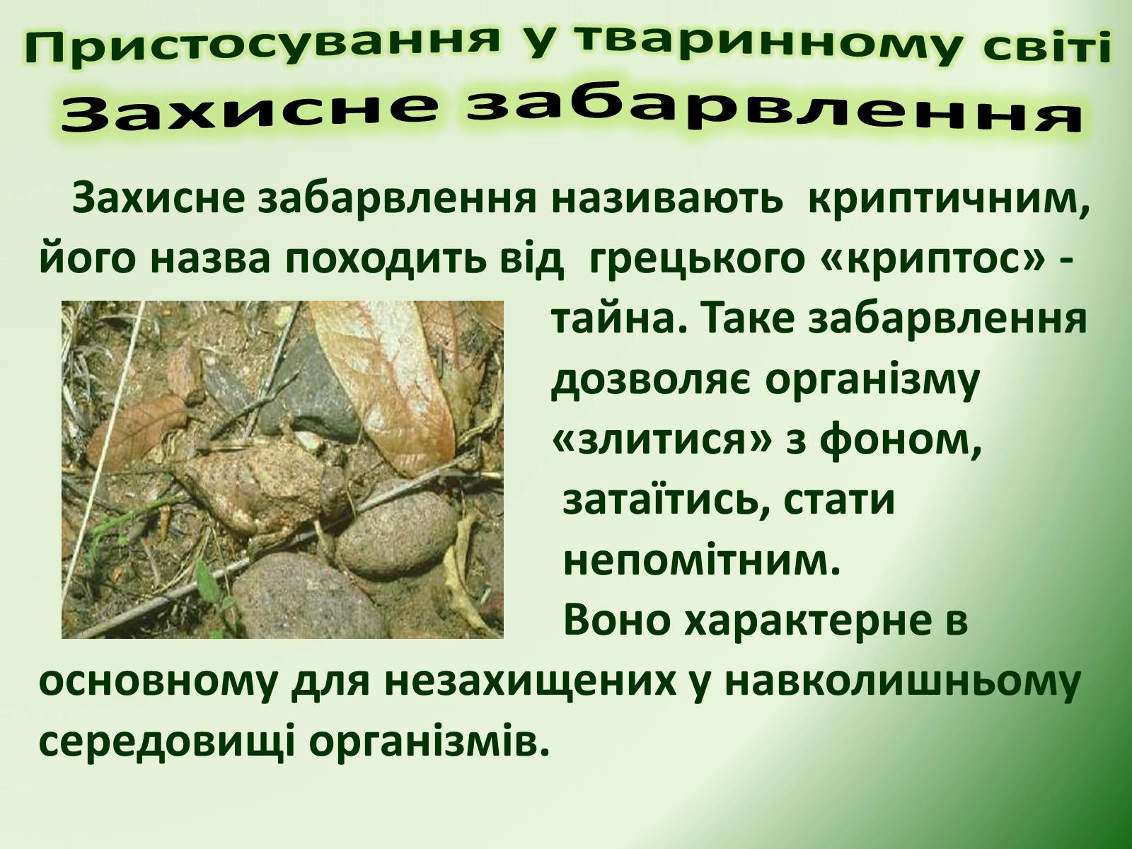 Презентація на тему «Пристосування у тваринному світі та їх відносний характер» - Слайд #6