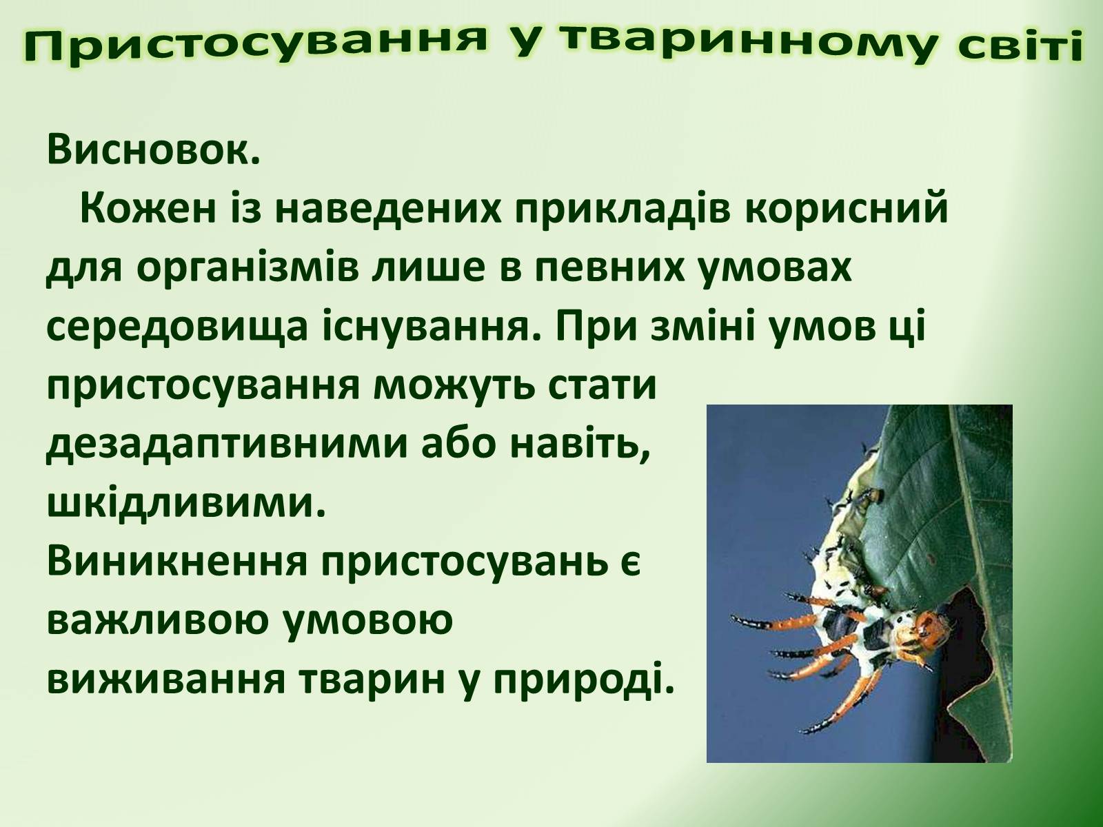 Презентація на тему «Пристосування у тваринному світі та їх відносний характер» - Слайд #68