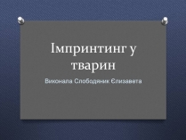 Презентація на тему «Імпринтинг у тварин»