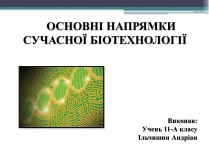 Презентація на тему «Основні напрямки сучасної біотехнології» (варіант 3)