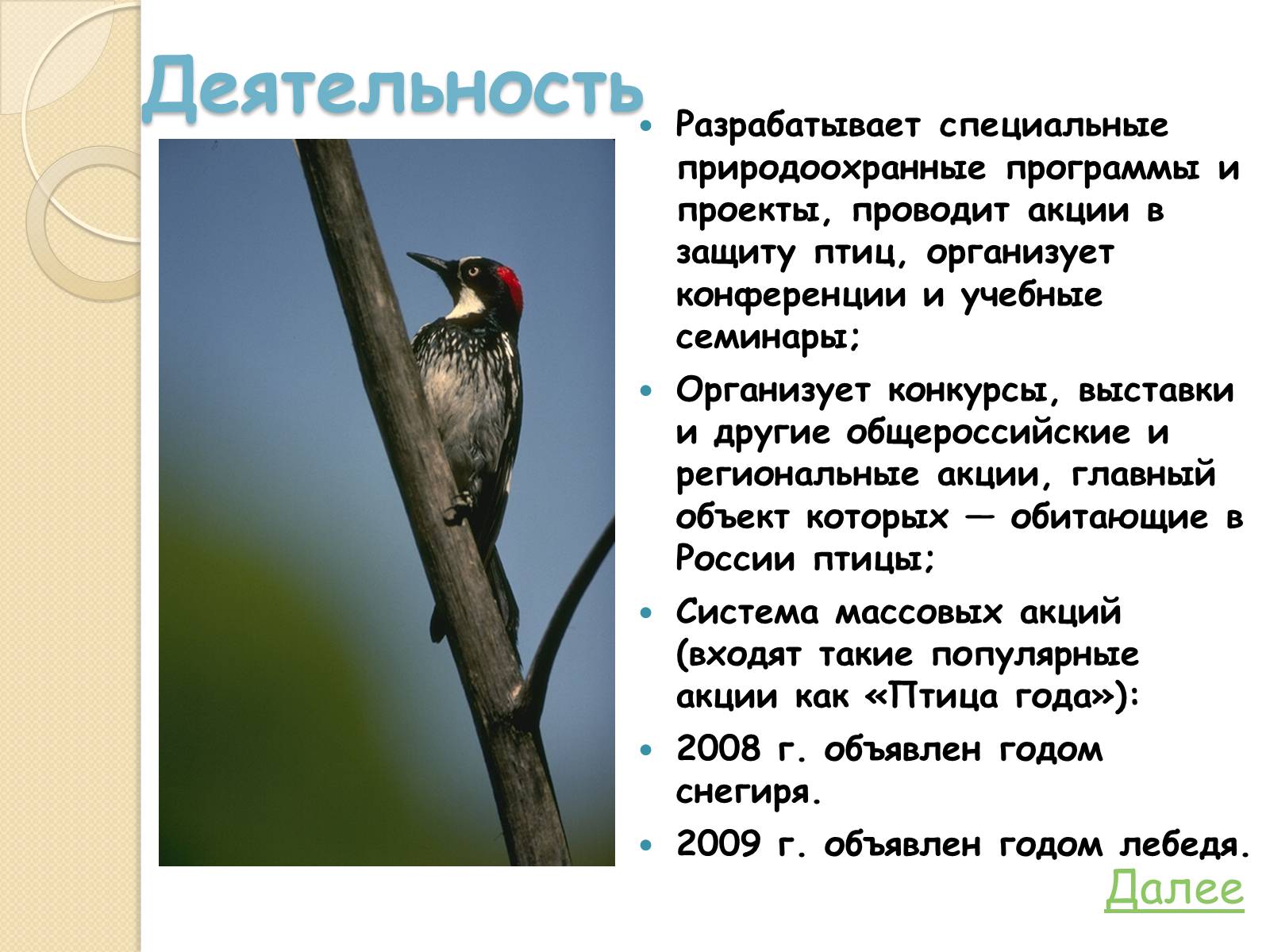 У птицы сохраняются. Охрана птиц в природе. Охрана птиц проект. Охрана птиц презентация. Охрана птиц сообщение.