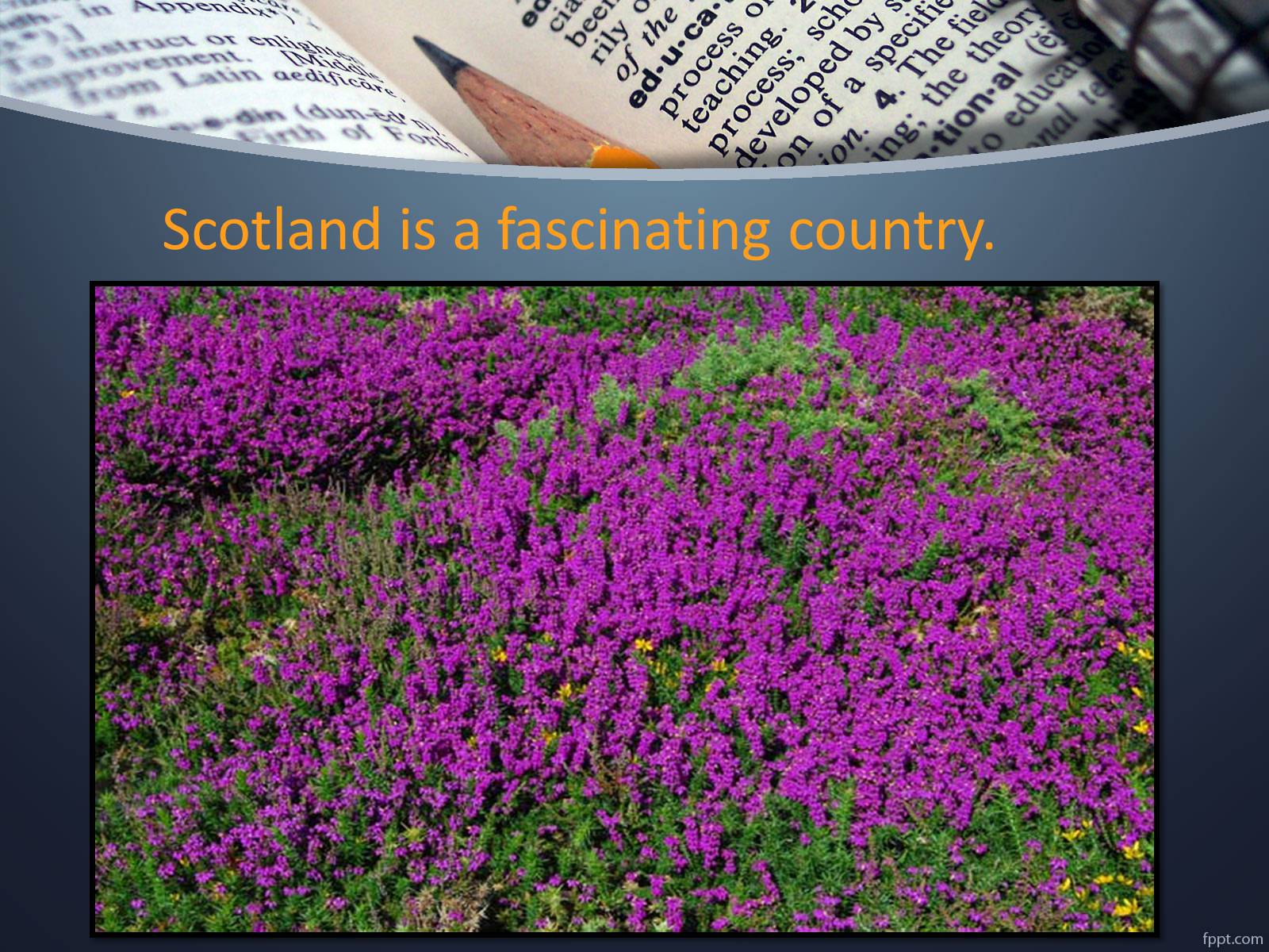 Презентація на тему «Scotland» (варіант 2) - Слайд #8