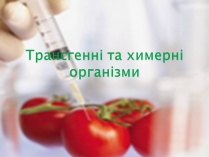 Презентація на тему «Трансгенні та химерні організми» (варіант 2)