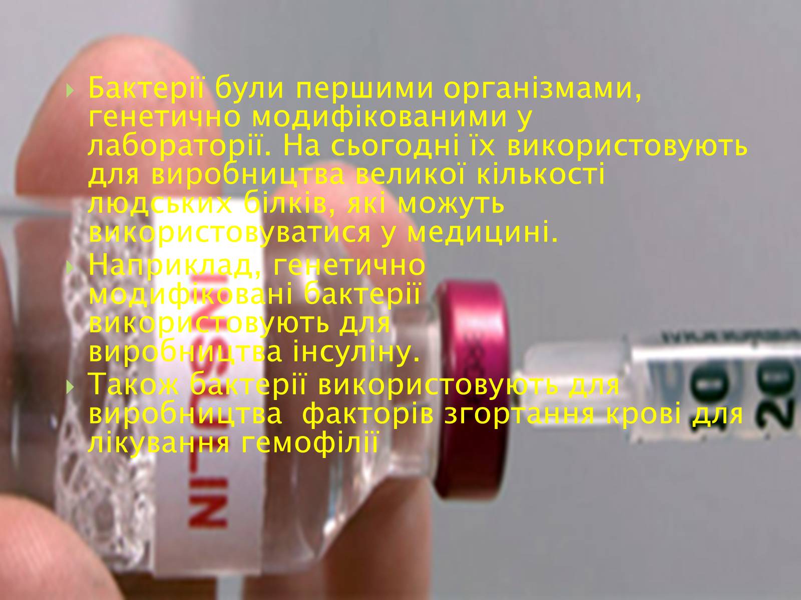 Презентація на тему «Трансгенні та химерні організми» (варіант 2) - Слайд #11