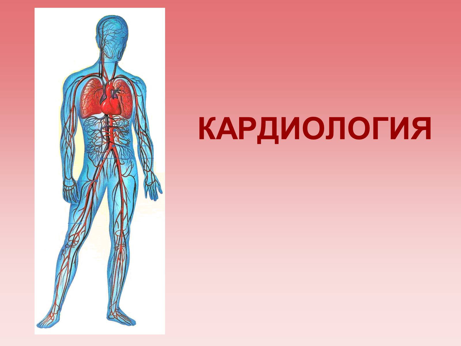 Биология 8 класс сердечно сосудистая система. Презентации по кардиологии. Кардиолог презентация. Слайд для презентации кардиология. Тема кардиология.