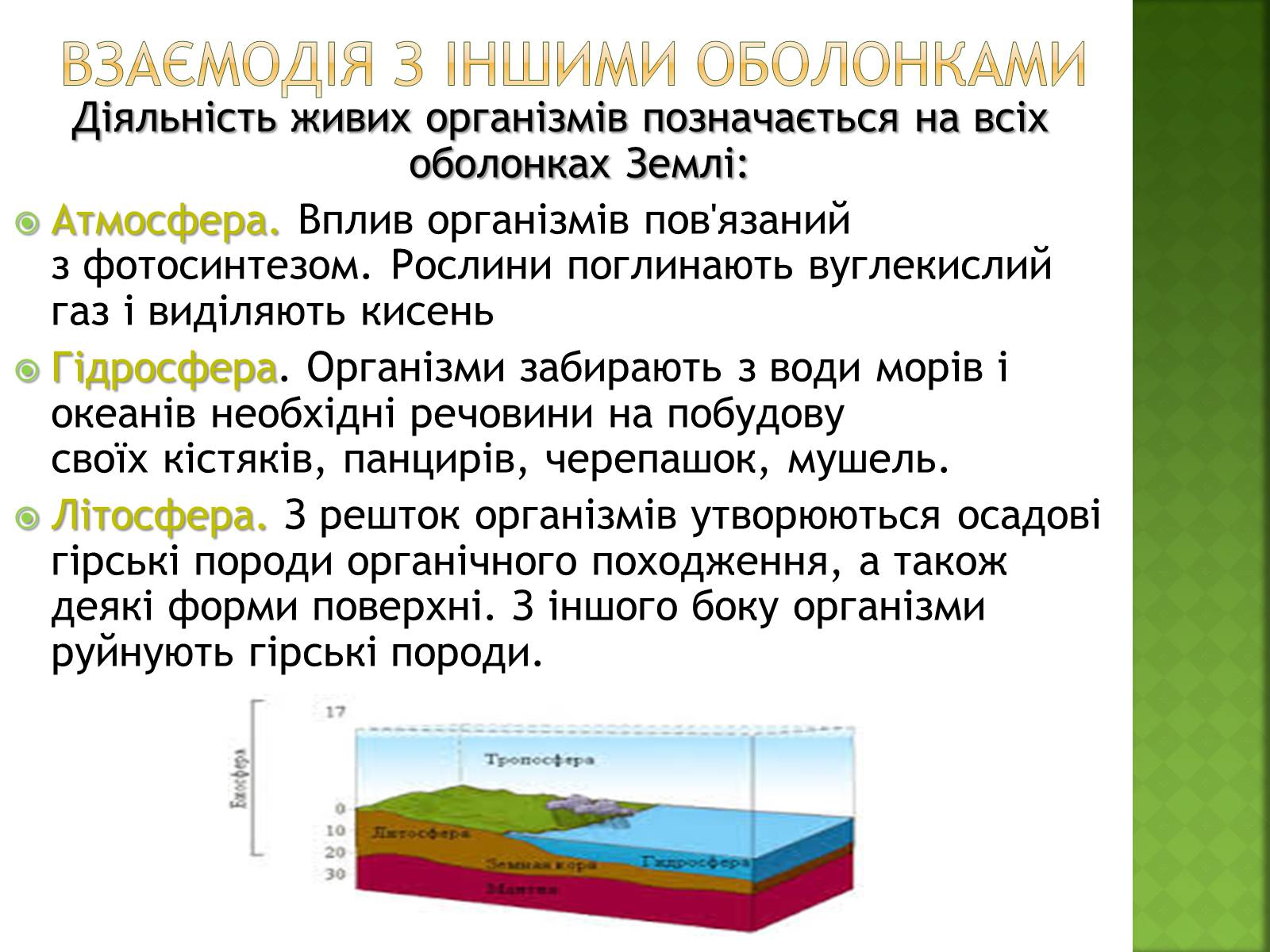 Презентація на тему «Біосфера та її межі» - Слайд #8